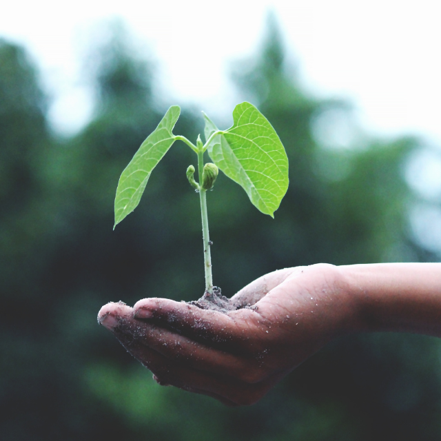 5 consigli per essere green